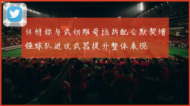 怀特称与武切维奇挡拆配合默契增强球队进攻武器提升整体表现