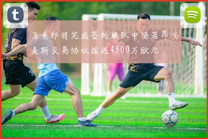马竞即将完成签约狼队中场若昂戈麦斯交易协议接近4500万欧元