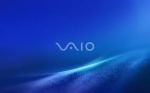 Vaio
